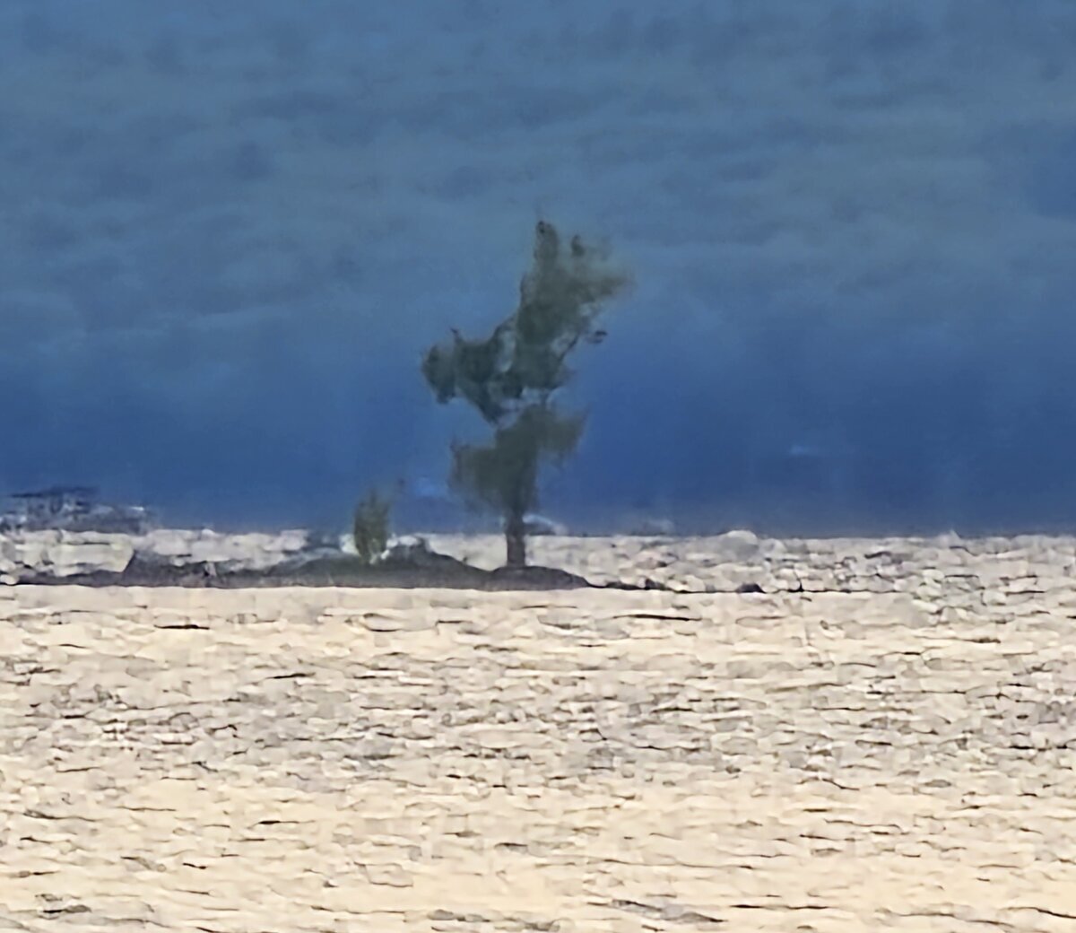 The original One Tree Island on Sebago Lake in Maine — a single tree growing from a tiny rocky patch in the middle of the lake.